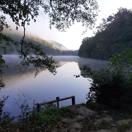 Schehl * Erlenbach (Rhineland-Palatinate)