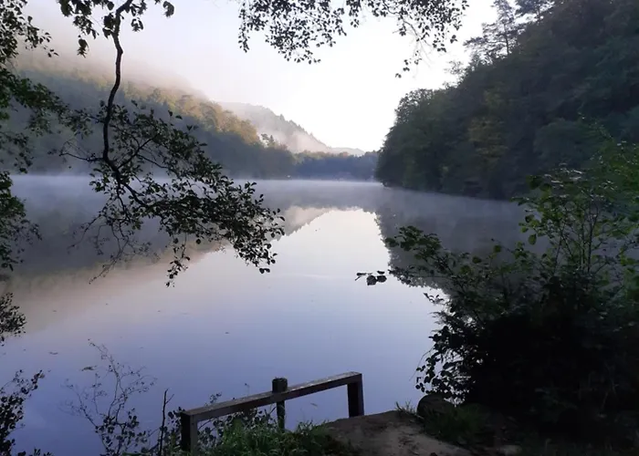 Schehl * Erlenbach (Rhineland-Palatinate)